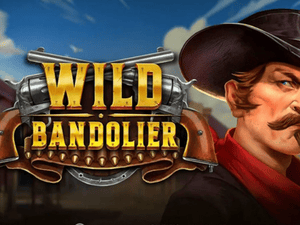 Logo of Wild Bandolier